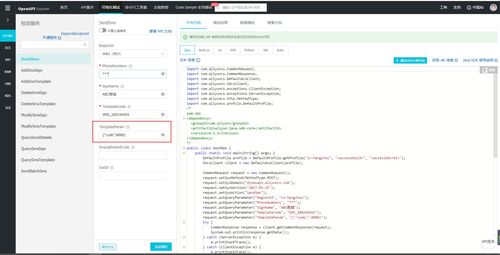 解析阿里云短信服務(wù) isv.invalid json param 錯(cuò)誤及信息系統(tǒng)集成應(yīng)對策略